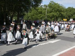 gaufest_19.07.2009__024