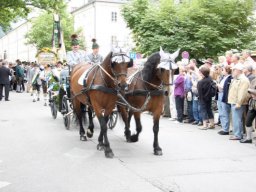 gaufest_19.07.2009__154