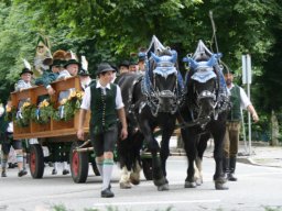 gaufest_19.07.2009__209